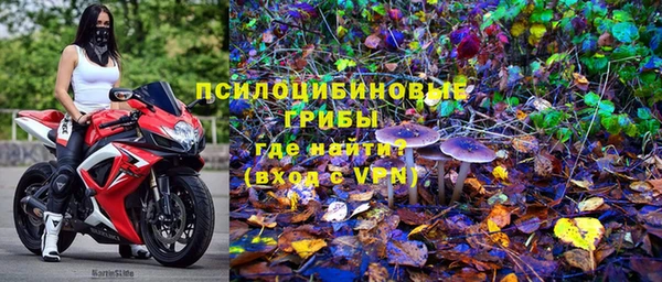 молекула духа Алзамай