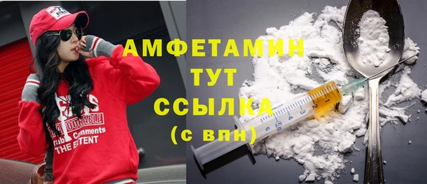 молекула духа Алзамай