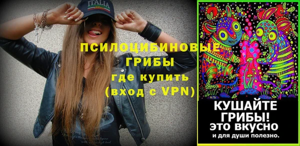 эйфоретик Алексин
