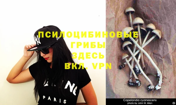молекула духа Алзамай